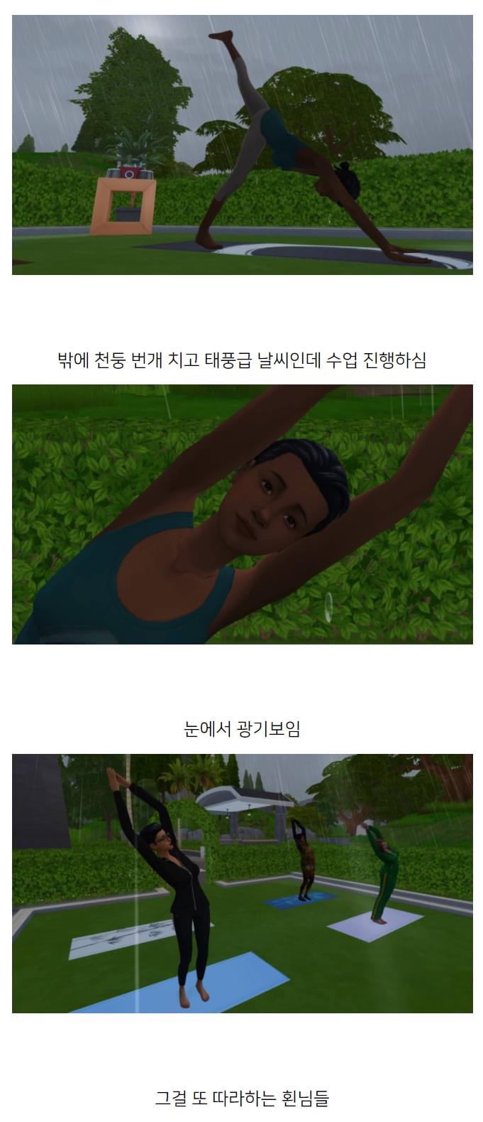 카페카다로그 이미지
