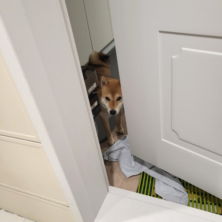 바미클럽 이미지