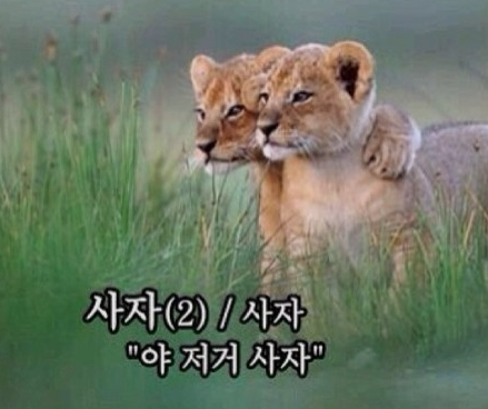 개미팩토리 이미지