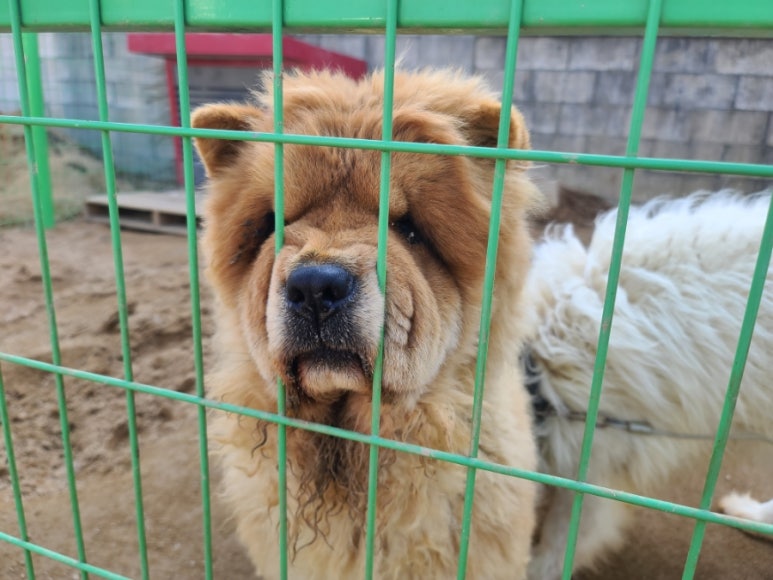 팔복한식뷔페 이미지