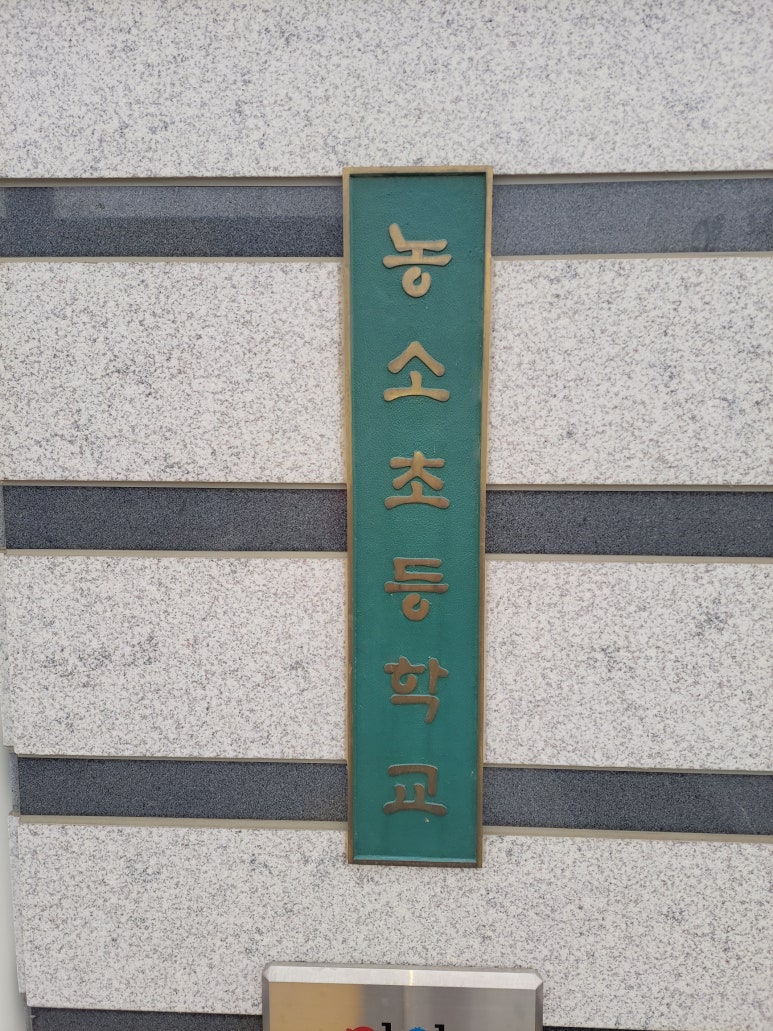 농소초등학교 이미지