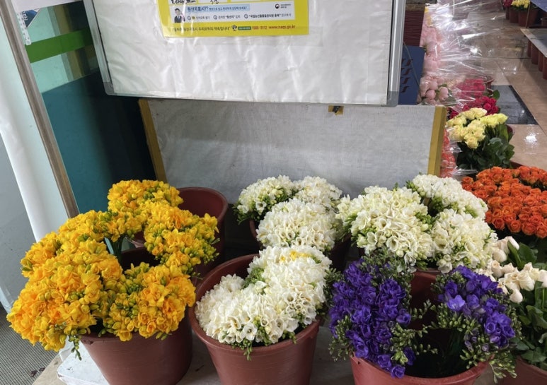 수산나아트공방 이미지