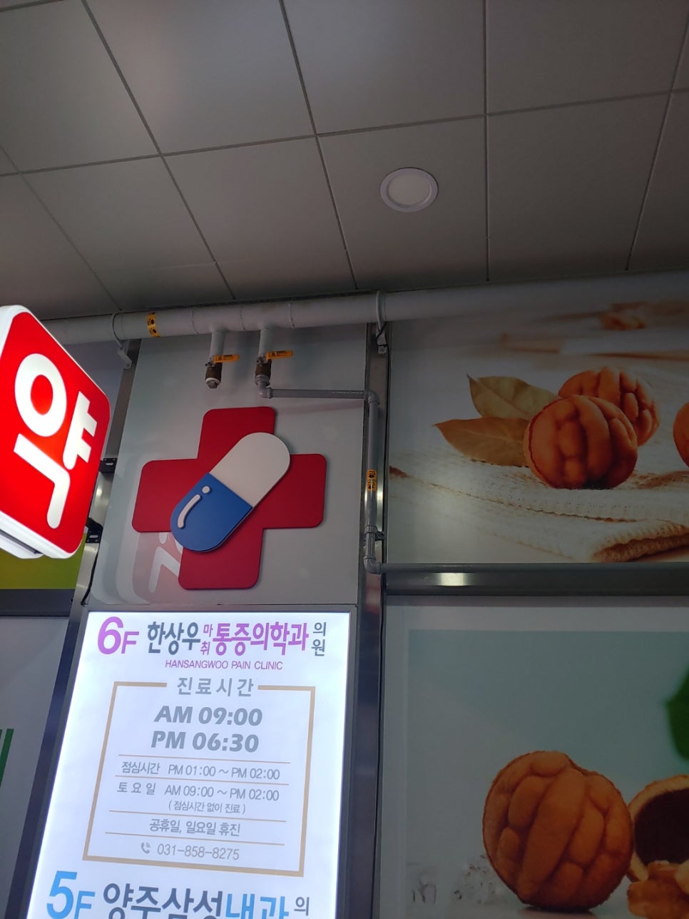 코코호도양주 이미지