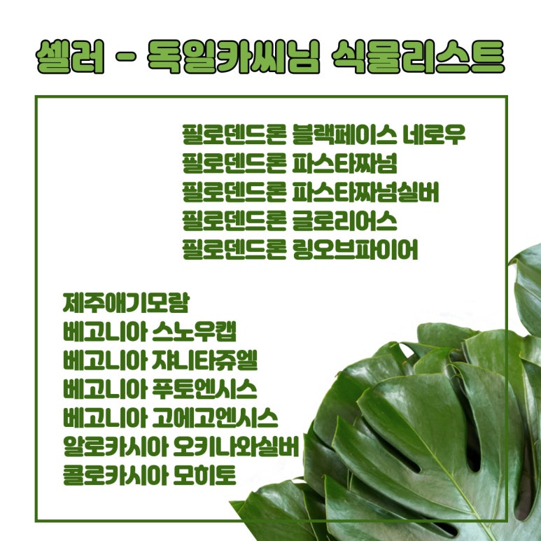 그린샵 이미지
