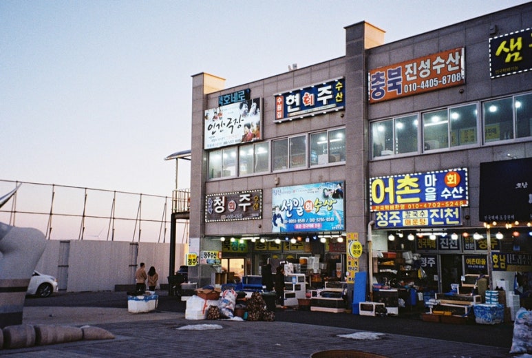 세종카메라 이미지