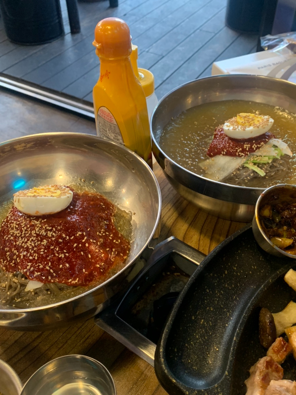 제주부리는돼지 이미지