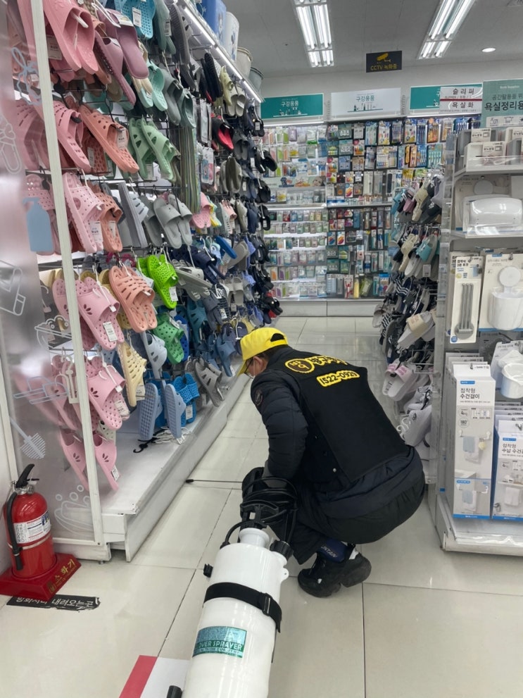 다이소경북 이미지