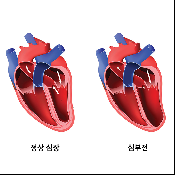 새로운내과 이미지