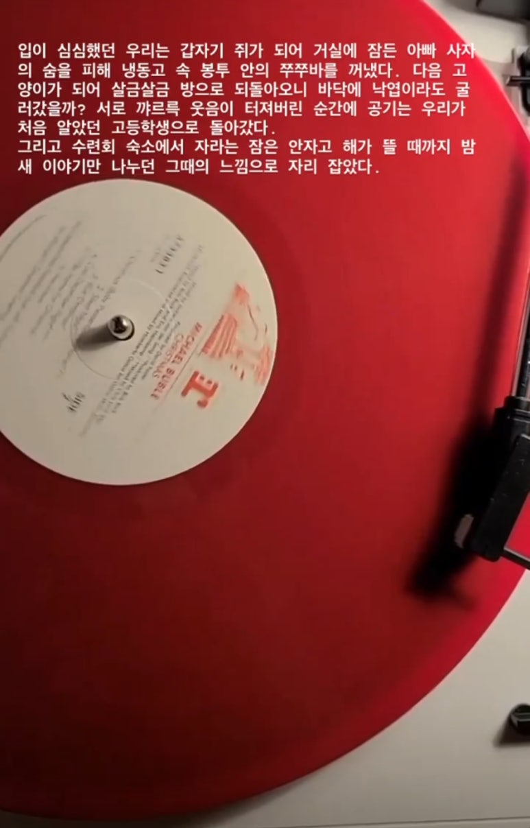 엘피여행 이미지