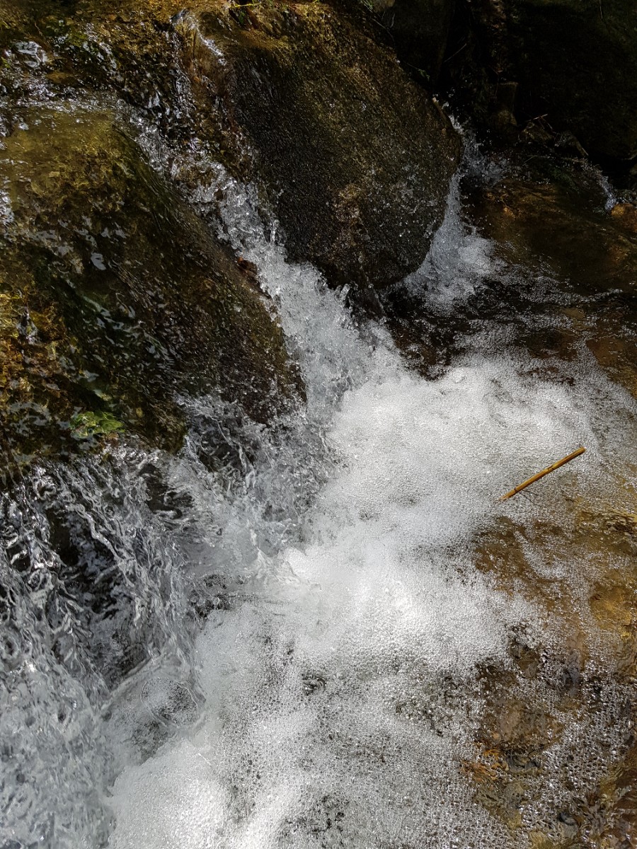 안테나하우스슈퍼 이미지