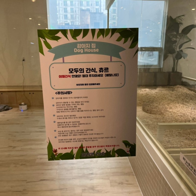 마리앤쥬 이미지