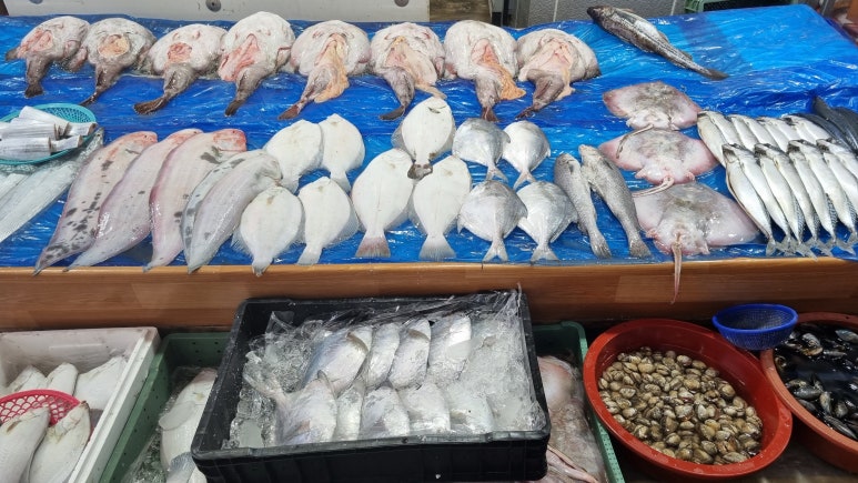 도명수산 이미지
