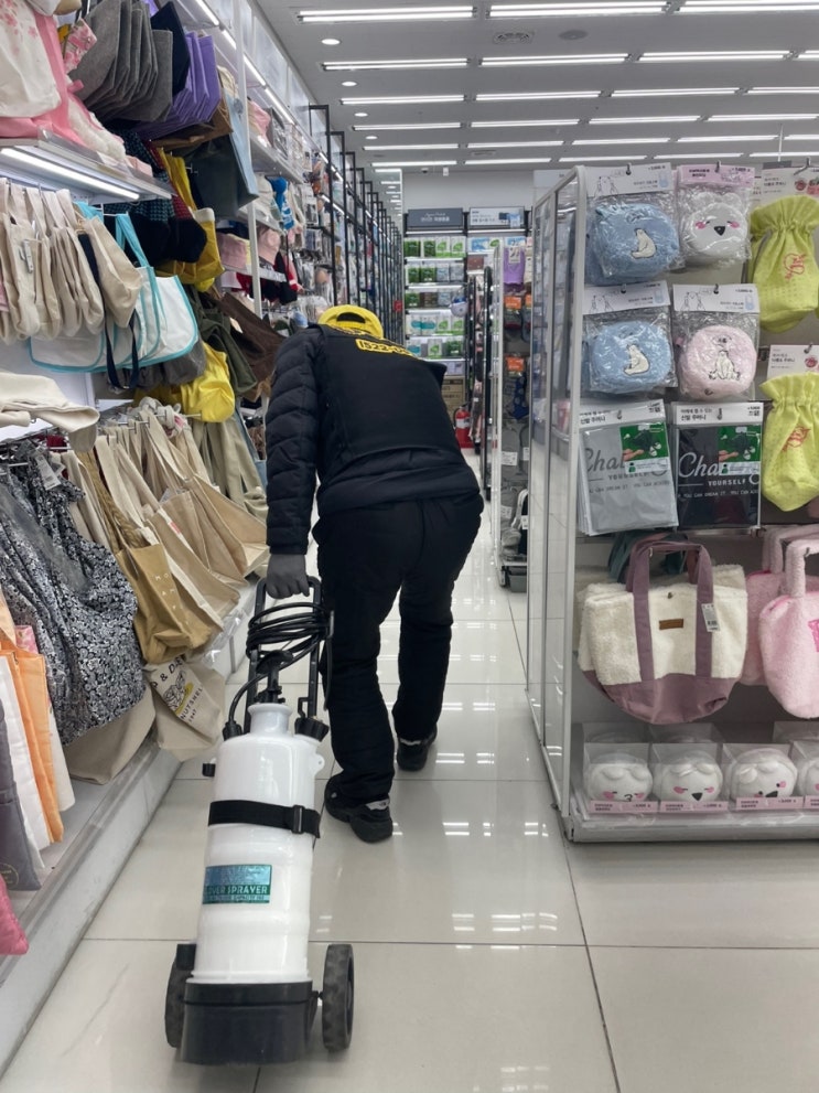 다이소경북 이미지