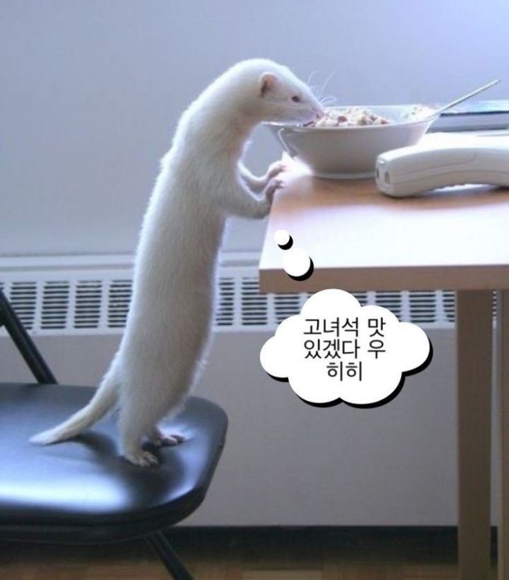 홍구삼겹 이미지