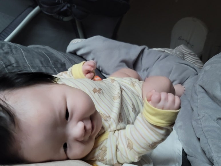 폰24울진 이미지