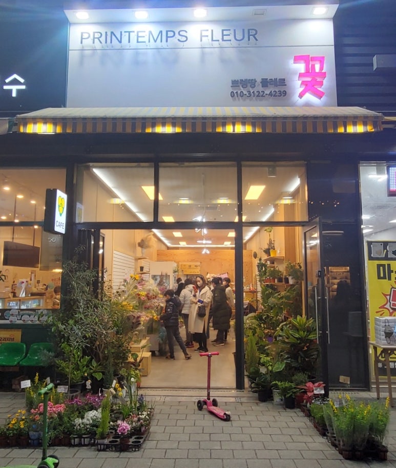 쁘렝땅플레르 이미지