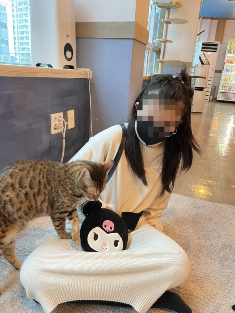 카페바른생활 이미지