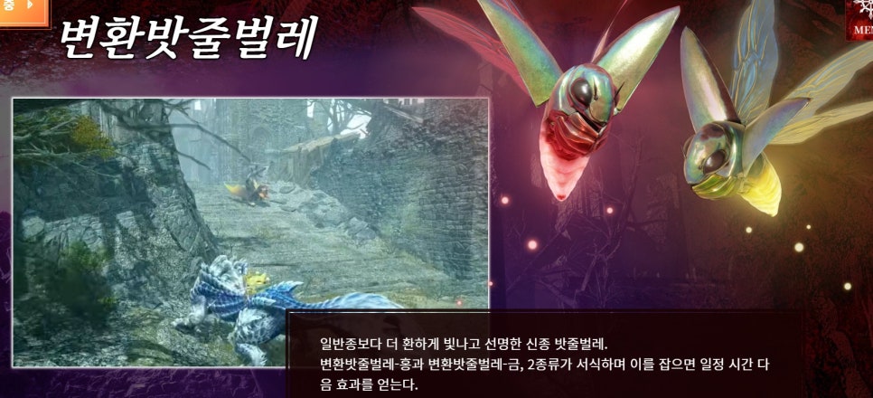 청전주 이미지