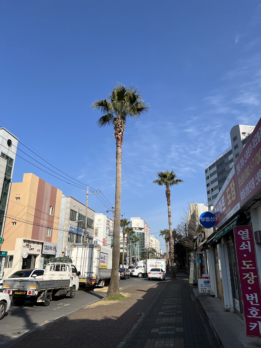 제주울어멍김밥 이미지