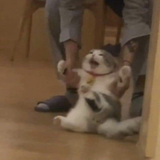 휴무전날 이미지