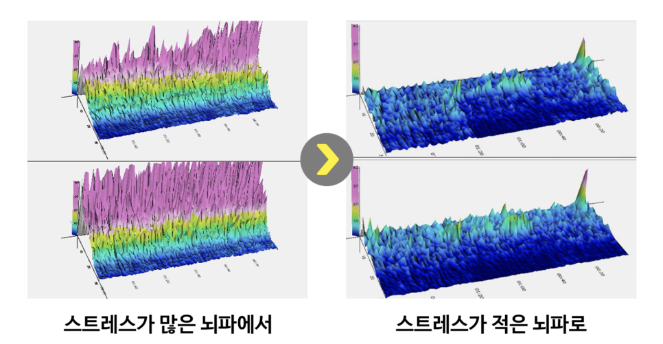 5분에책1권읽기안양평촌 이미지