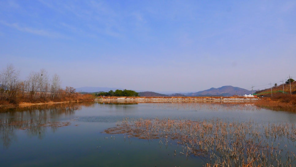 대구난농원 이미지