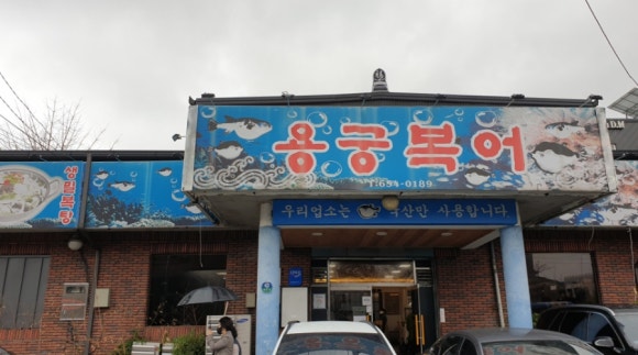 용궁복어 이미지