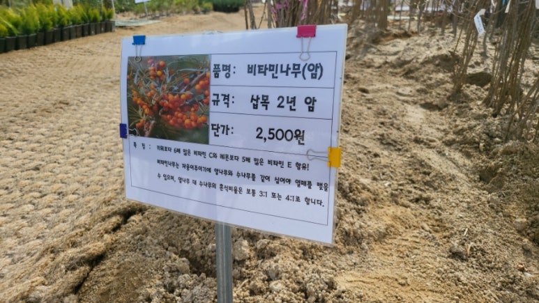 화천시장조합 이미지