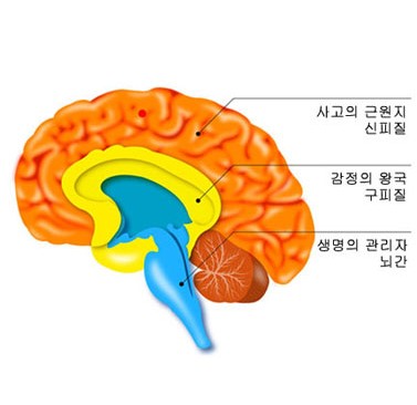사랑의원 이미지
