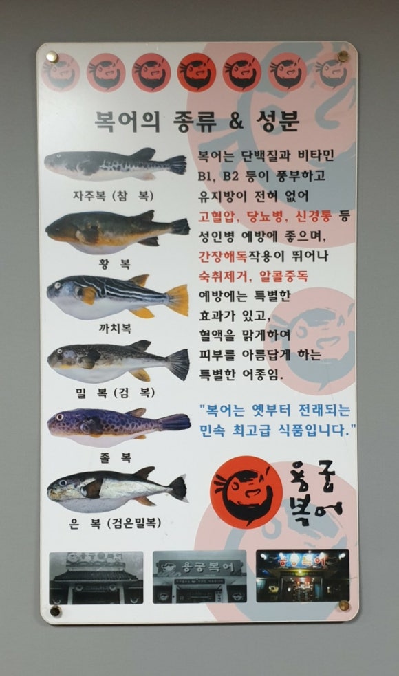 용궁복어 이미지