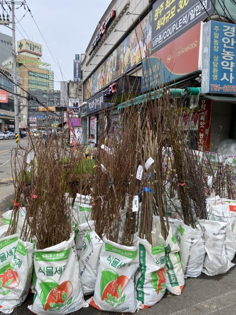 경안종묘농약사 이미지