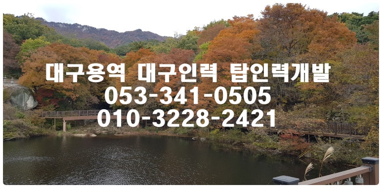 탑직업소개소 이미지
