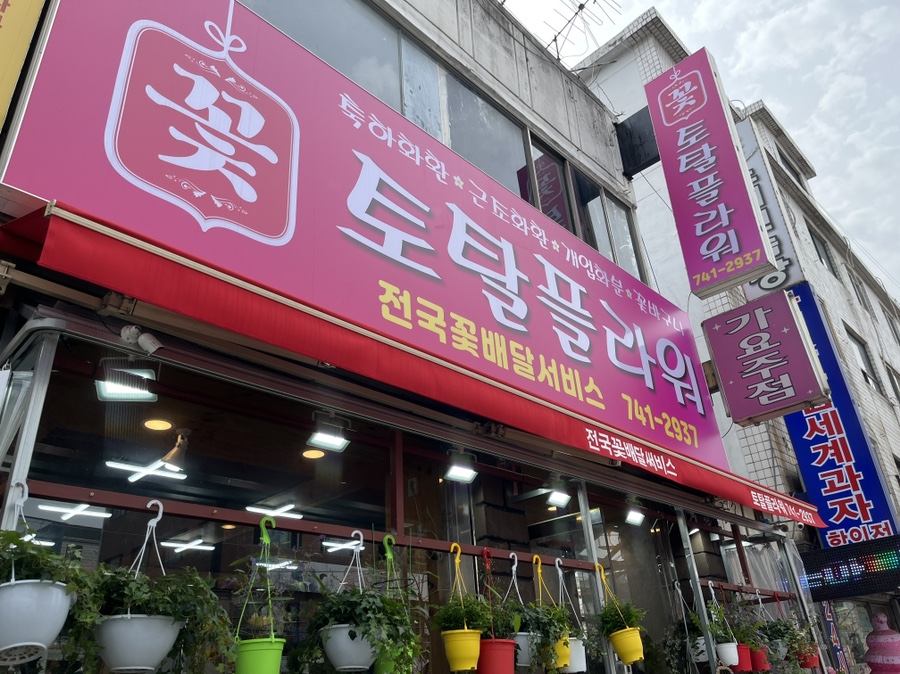 토탈플라워 이미지