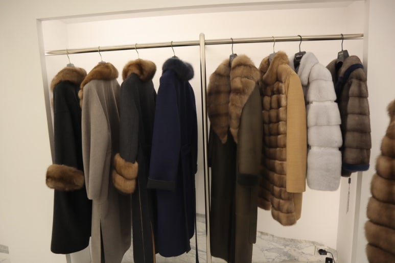 페넥톤(PENEKTON) 이미지