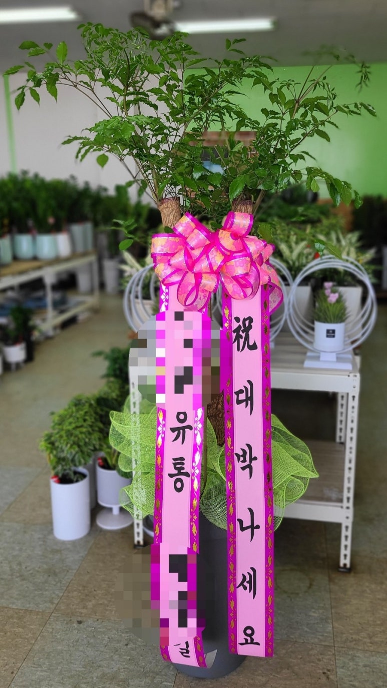 트리뉴얼 이미지