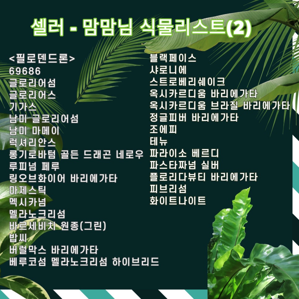 그린샵 이미지