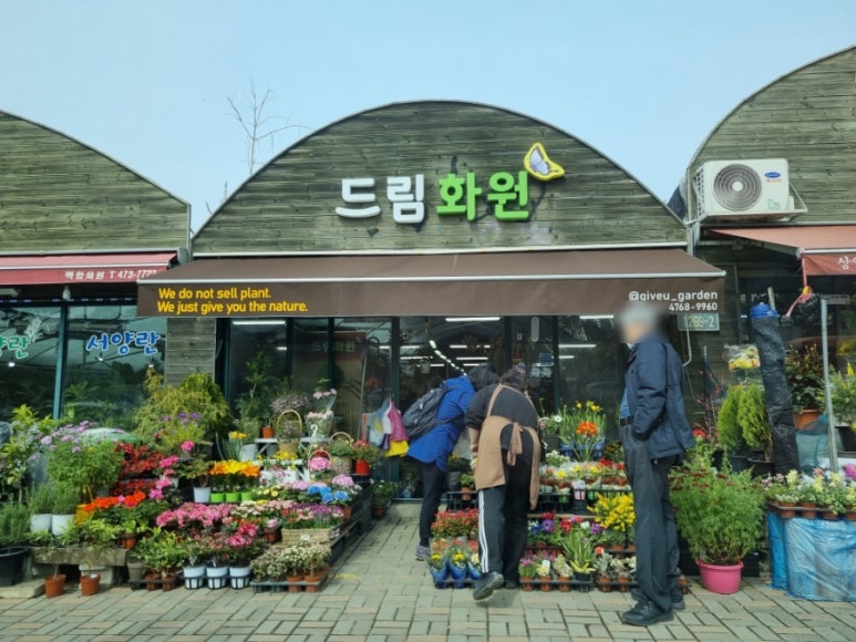 강동꽃화원 이미지