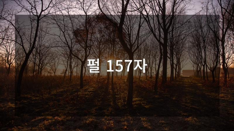 코드플레이 이미지