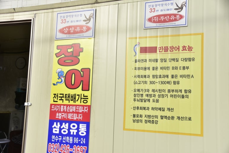 삼성장어 이미지