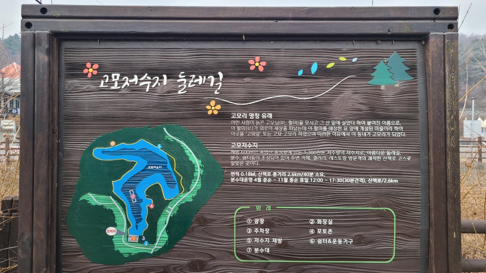 동네고모 이미지