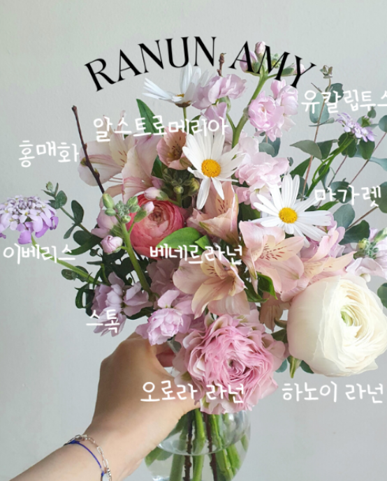 라넌에이미 이미지
