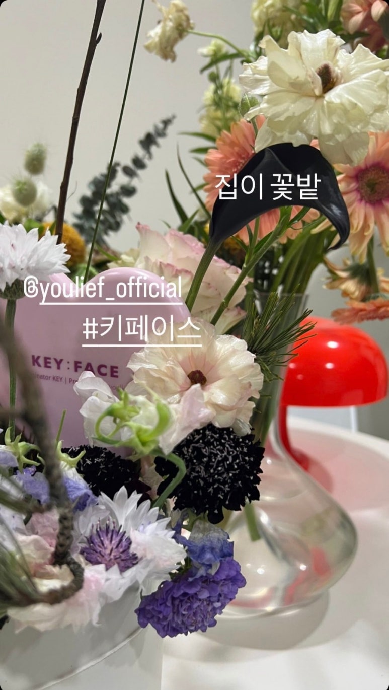 취운화 이미지