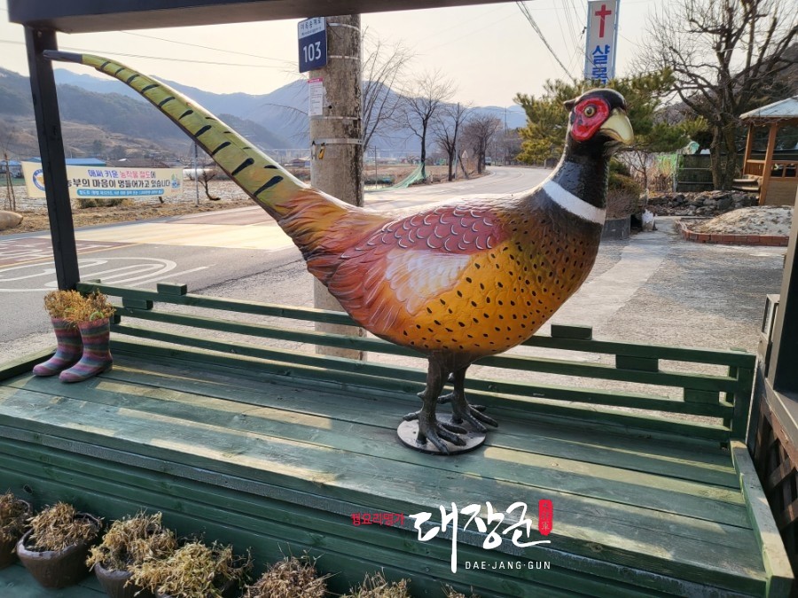 대장군전통식품 이미지