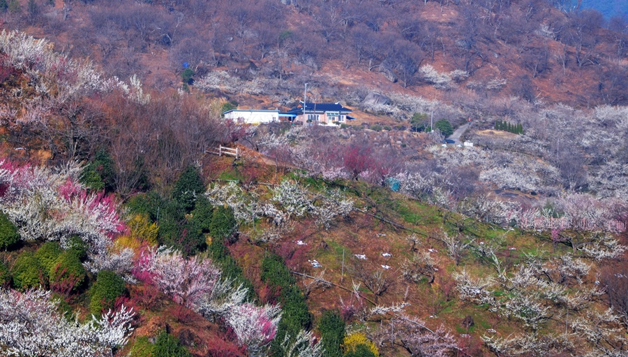 해봄농원 이미지