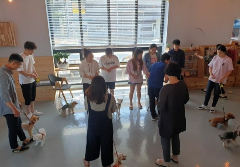대한반려동물협회 이미지