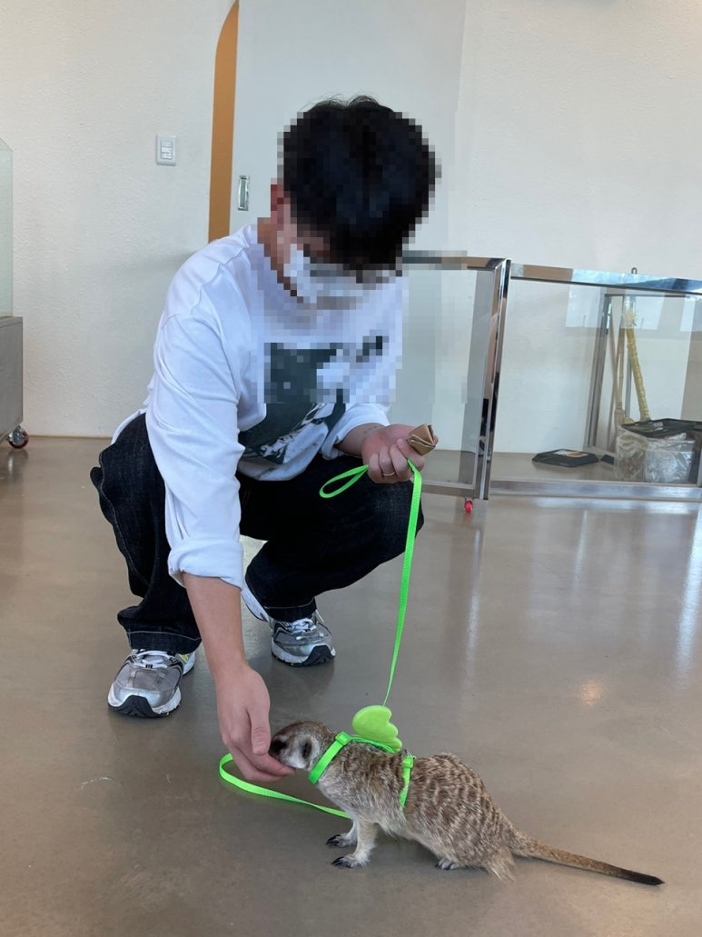 카페모들 이미지