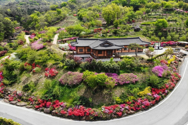 구례수목원 유아숲체험원 이미지