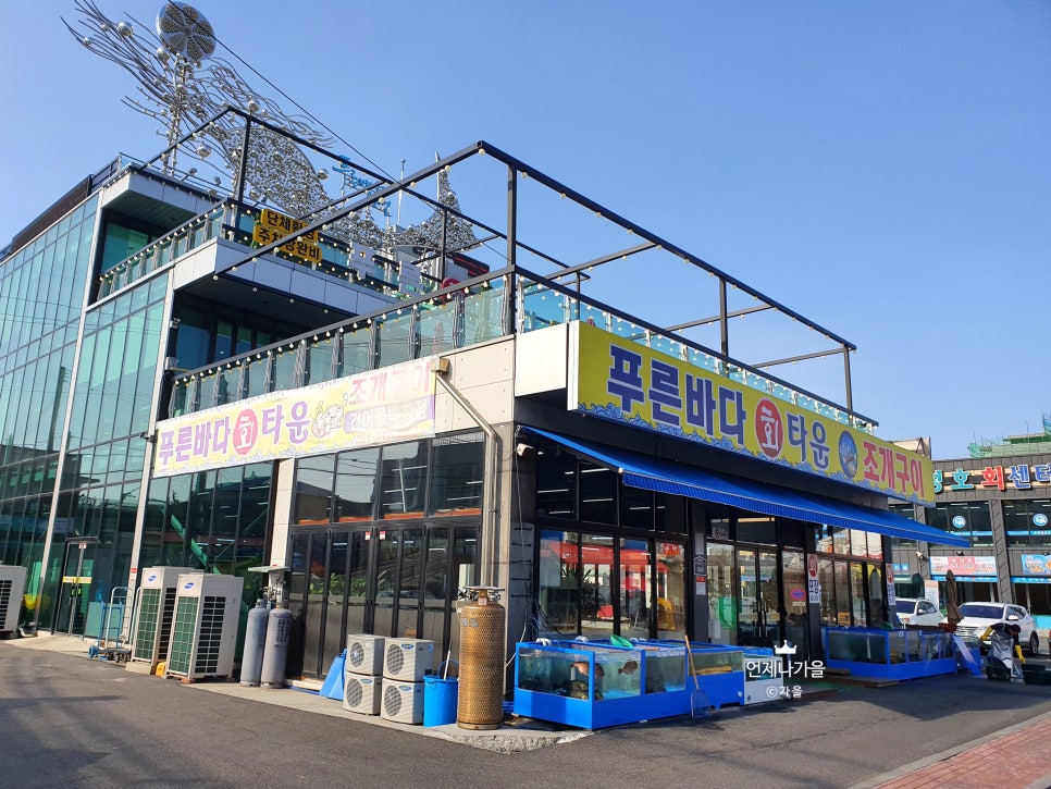 바다회 이미지
