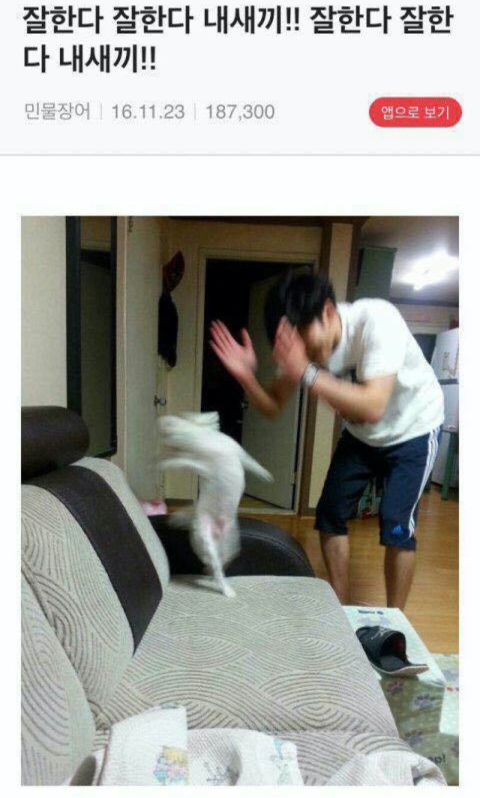 간판없는집 이미지