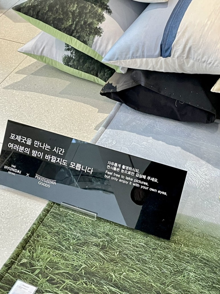 제니아현대 이미지